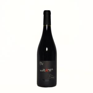 En Aparté Syrah 2024 Benoît Montel
