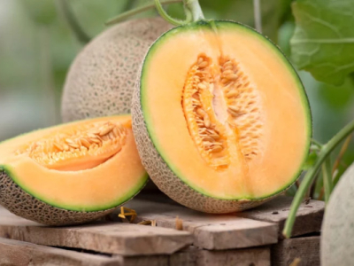 Quels vins boire avec du melon ?